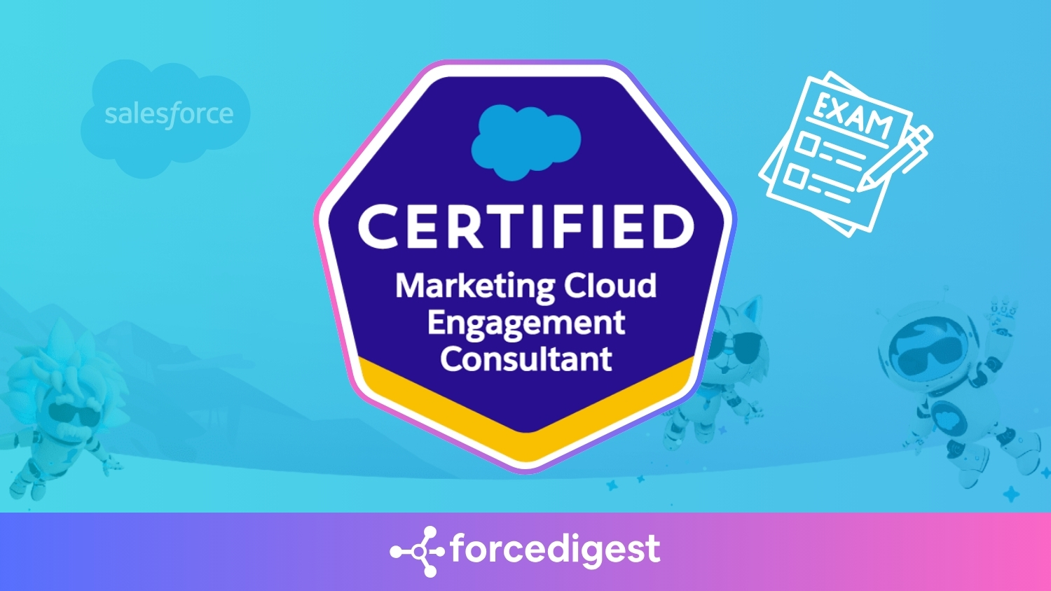 Salesforce Certified Marketing Cloud Engagement Consultant